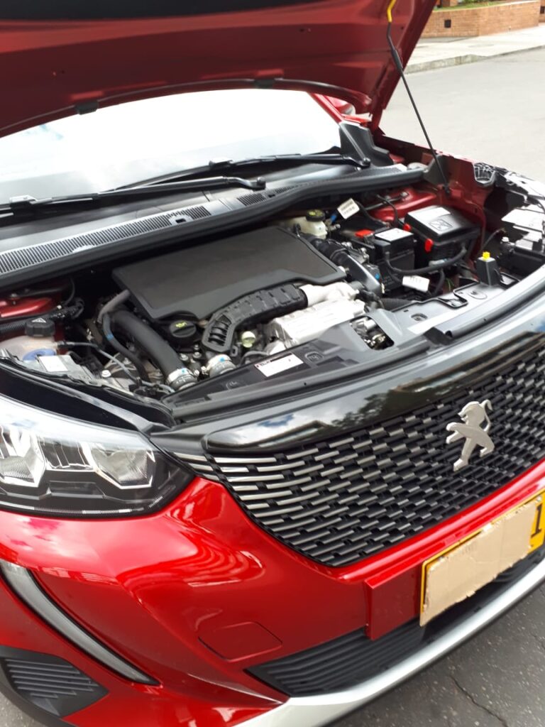 WhatsApp Image 2025-11-19 at 10.59.54 AM (1)